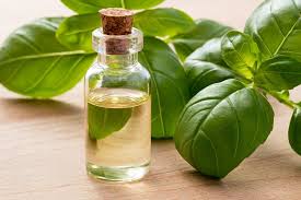 Basil (Sweet) - Pure Essential Oil