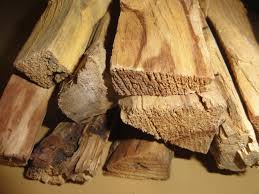 Palo Santo Essential Oil Wood